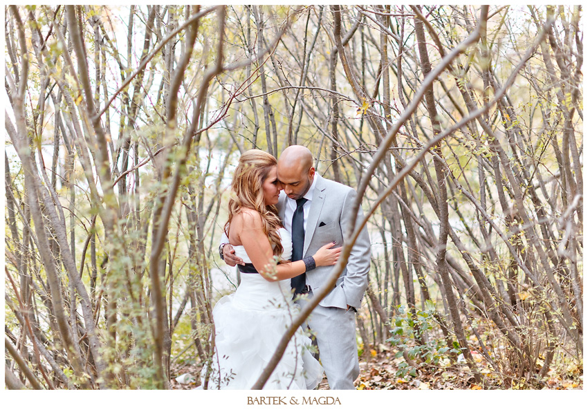 embassy plaza wedding montreal