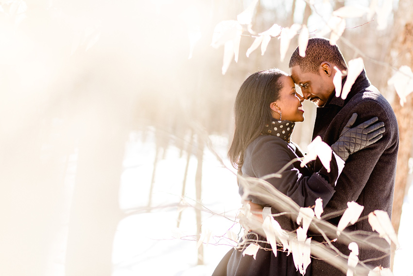 forest_engagement_005