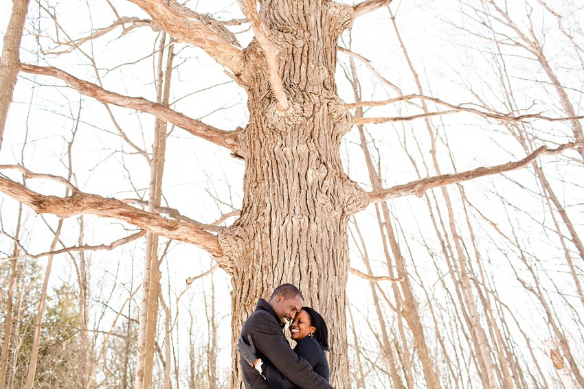 forest_engagement_012