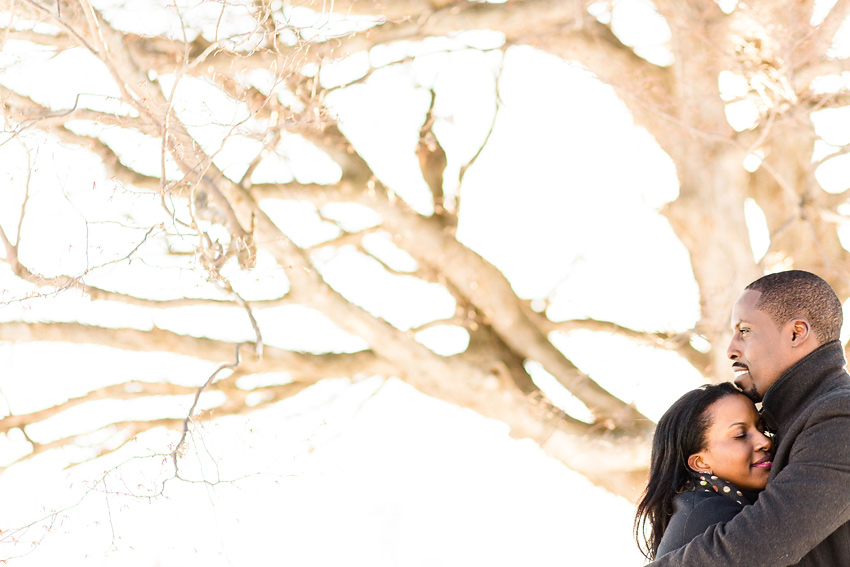 forest_engagement_020