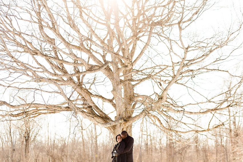 forest_engagement_022