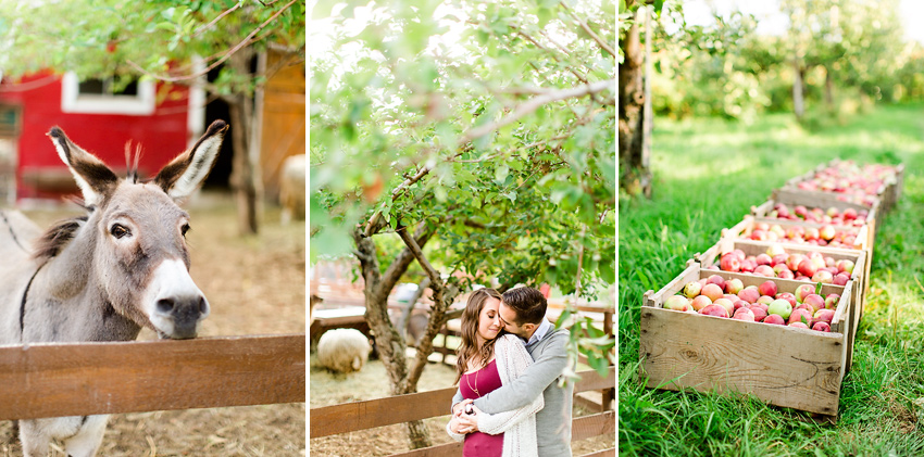 apple_orchard_engagement_003