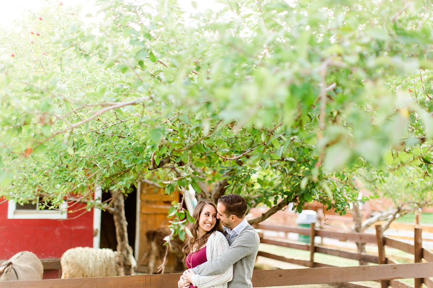 apple_orchard_engagement_006