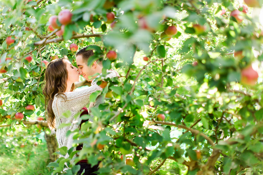 apple_orchard_engagement_011